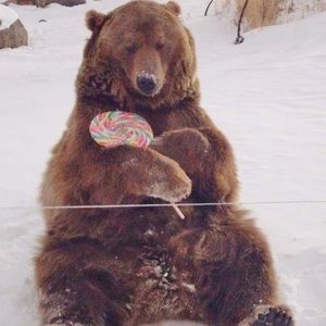 Meet your Posher, Linda